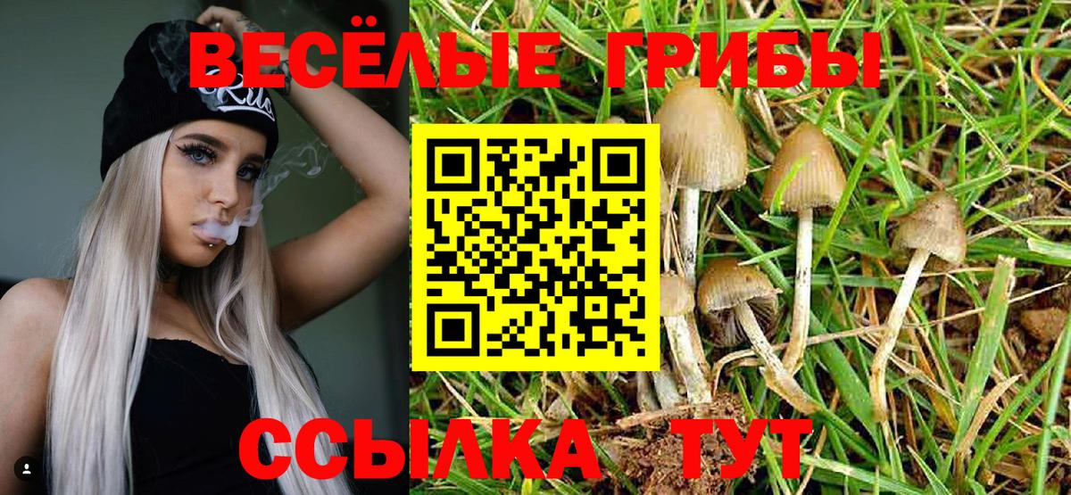 Галлюциногенные грибы Magic Shrooms  Вход с VPN  Кимовск 