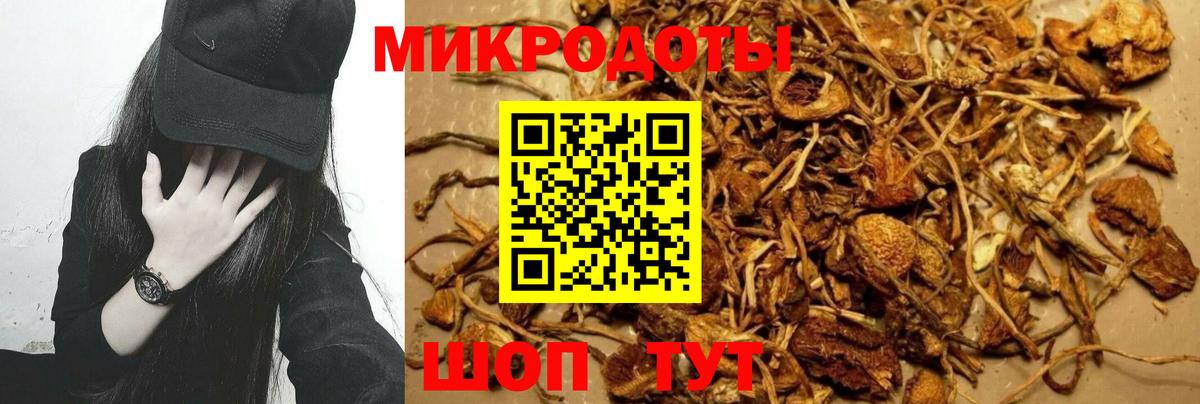 Галлюциногенные грибы Cubensis Кимовск